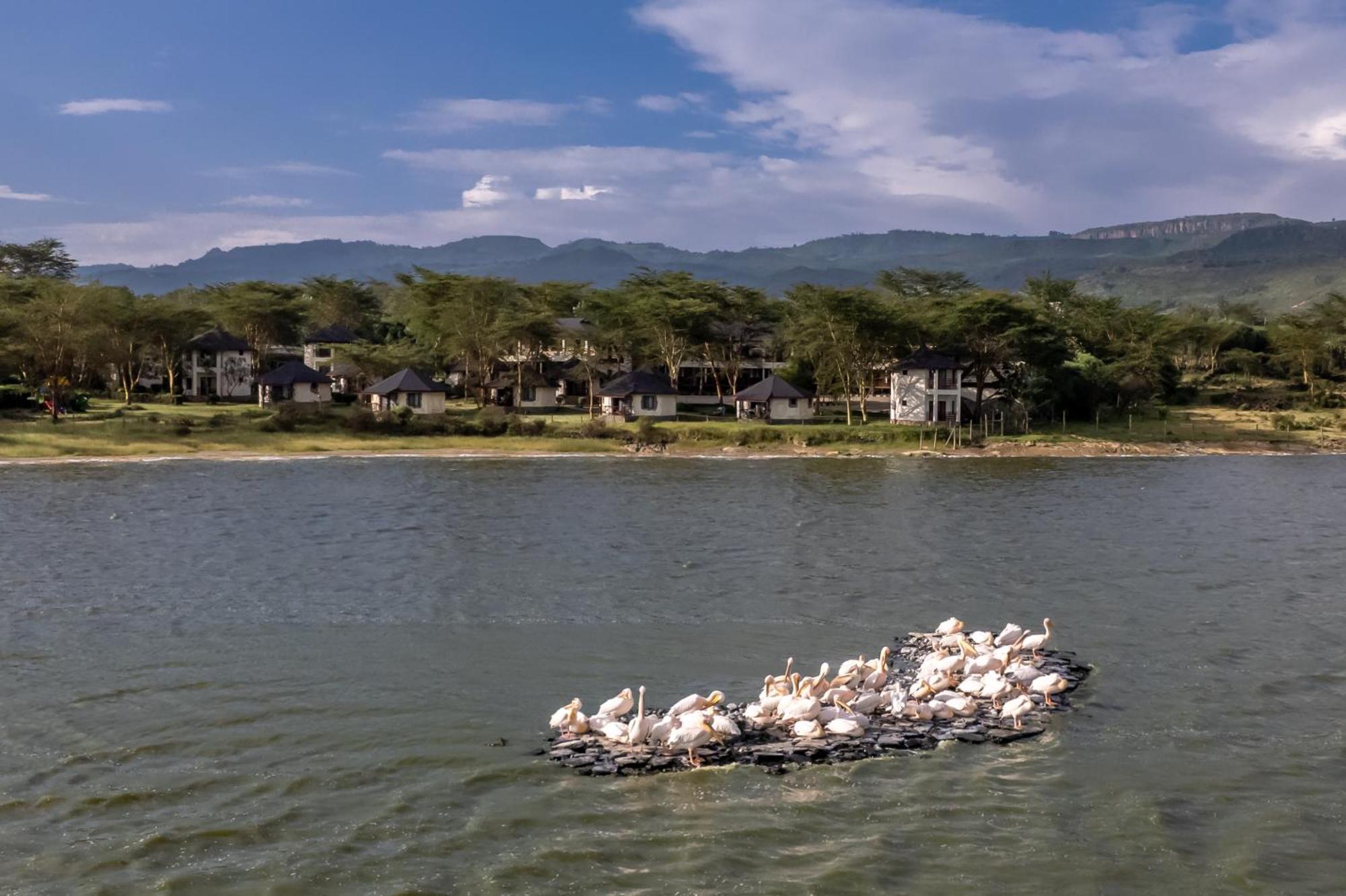 Sentrim Elementaita Lodge Elmenteita Buitenkant foto
